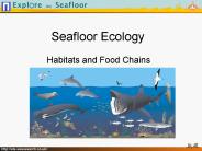 Seafloor Ecology