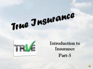 True Insurance - 4