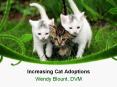 Increasing Cat Adoptions PowerPoint PPT Presentation