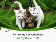 Increasing Cat Adoptions