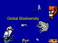 Global Biodiversity PowerPoint PPT Presentation