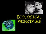 ECOLOGICAL             PRINCIPLES