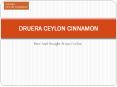 Vital Uses of Ceylon Cinnamon PowerPoint PPT Presentation