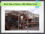 How to Select a Diy Chicken Coop
