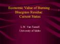 Economic Value of Burning Bluegrass Residue:  Current Status PowerPoint PPT Presentation