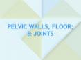 PELVIC WALLS, FLOOR; PowerPoint PPT Presentation