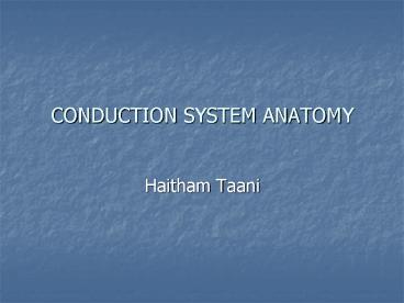 CONDUCTION SYSTEM ANATOMY
