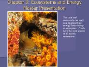 Chapter 3: Ecosystems and Energy Master Presentation