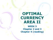 OPTIMAL CURRENCY AREA II
