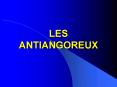 LES ANTIANGOREUX PowerPoint PPT Presentation