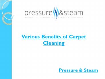 Various Benefits of Carpet Cleaning
