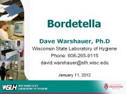 Bordetella