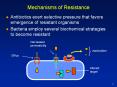 Mechanisms of Resistance PowerPoint PPT Presentation