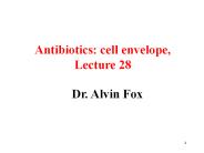 Dr. Alvin Fox