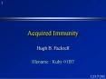 Acquired Immunity PowerPoint PPT Presentation