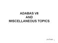 ADABAS V8 AND MISCELLANEOUS TOPICS PowerPoint PPT Presentation