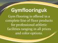 Rubber gym mat PowerPoint PPT Presentation