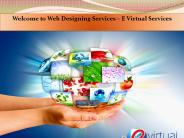 Affordable Web Designing Services – E Virtual Services
