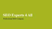 SEO Experts 4 All-Professional SEO Company