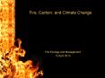Fire, Carbon, and Climate Change PowerPoint PPT Presentation
