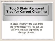 Top 5 Stain Removal Tips For Carpet Cleaning
