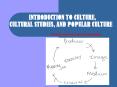 INTRODUCTION TO CULTURE, CULTURAL STUDIES, AND POPULAR CULTURE PowerPoint PPT Presentation