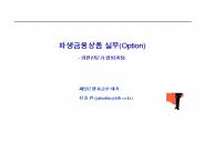 ?????? ??(Option) - ????? ????-