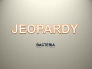 POWERPOINT JEOPARDY