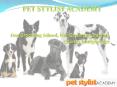 Pet Grooming Training PowerPoint PPT Presentation