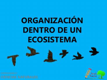 Poblacion y Comunidad