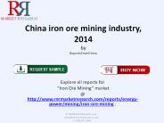 2014 Iron Ore Mining Industry in China