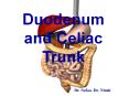 Duodenum and Celiac Trunk PowerPoint PPT Presentation