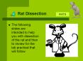 Rat Dissection PowerPoint PPT Presentation