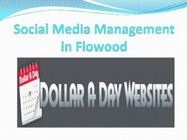 Web Design Seo Company in Flowood