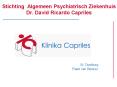 Stichting Algemeen Psychiatrisch Ziekenhuis Dr. David Ricardo Capriles PowerPoint PPT Presentation