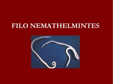 FILO NEMATHELMINTES
