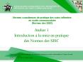 Normes canadiennes de pratique des soins infirmiers en sant PowerPoint PPT Presentation