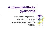 Az ossejt-