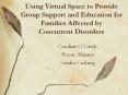 Using Virtual Space to Provide Group Support and Education for PowerPoint PPT Presentation