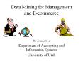 Data Mining for Management and E-commerce PowerPoint PPT Presentation