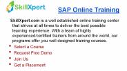 SAP Online Training - Skillxpert