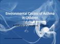 Environmental Causes of Asthma in Children PowerPoint PPT Presentation