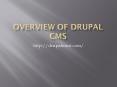 Drupal Web Developers PowerPoint PPT Presentation