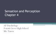 Sensation and Perception Chapter 4