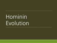 Hominin Evolution