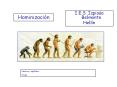 Hominizaci PowerPoint PPT Presentation