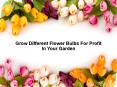 Grow Different Flower Bulbs For Profit In Your Garden PowerPoint PPT Presentation