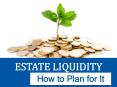 Estate Liquidity PowerPoint PPT Presentation