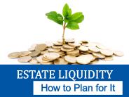 Estate Liquidity