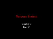 Nervous System